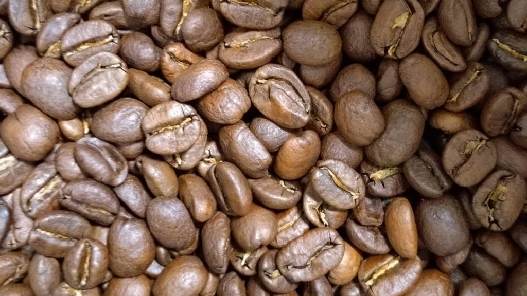 コスタリカ－ドン・オスカル-豆