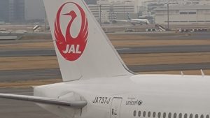 JA737J-拡大