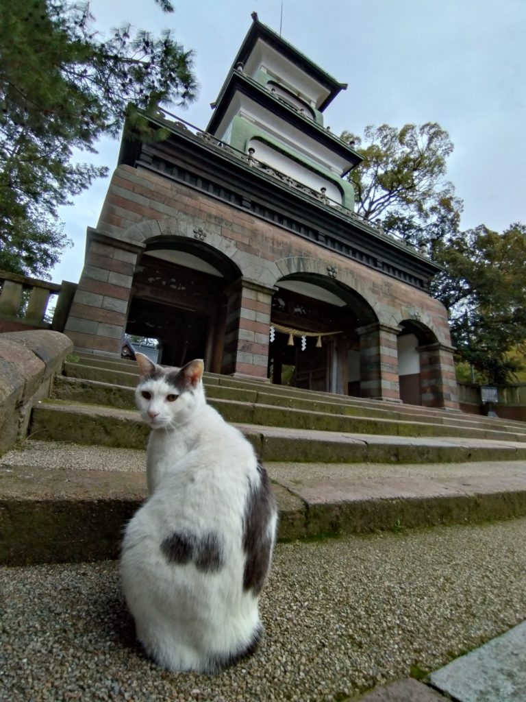 尾山神社と猫