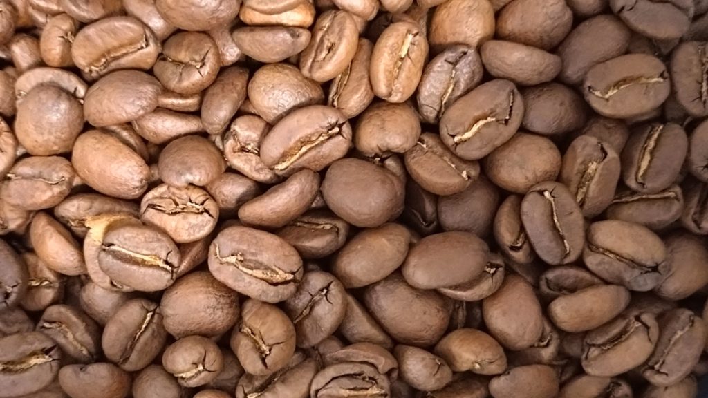 コスタリカ-ドン-ホエル