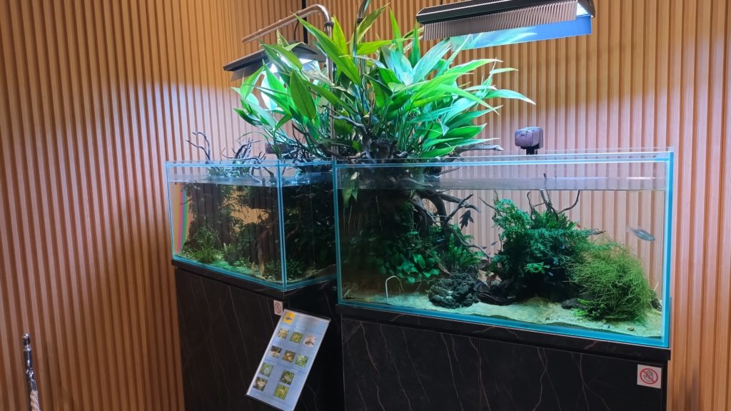 秋田空港-ROYALSKY-LOUNGE-水槽