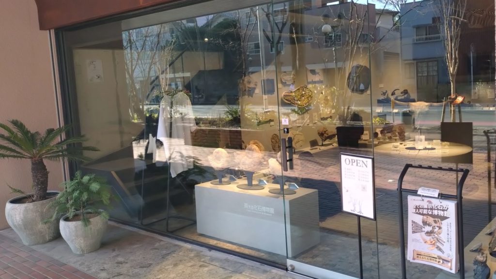 買える化石博物館